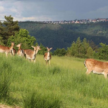 Lovely Apartment In The Black Forest Филлинген-Швеннинген Экстерьер фото