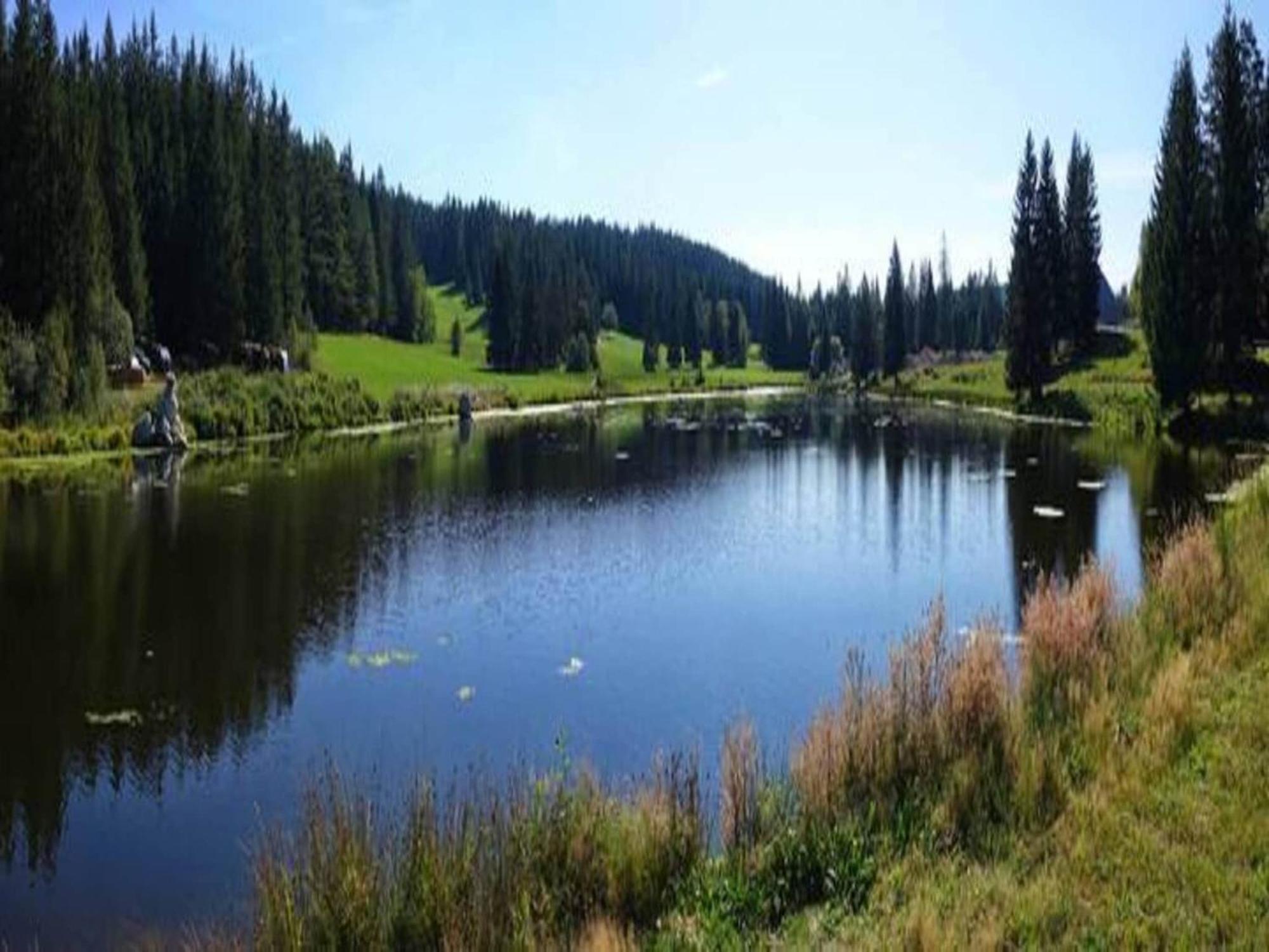 Lovely Apartment In The Black Forest Филлинген-Швеннинген Экстерьер фото