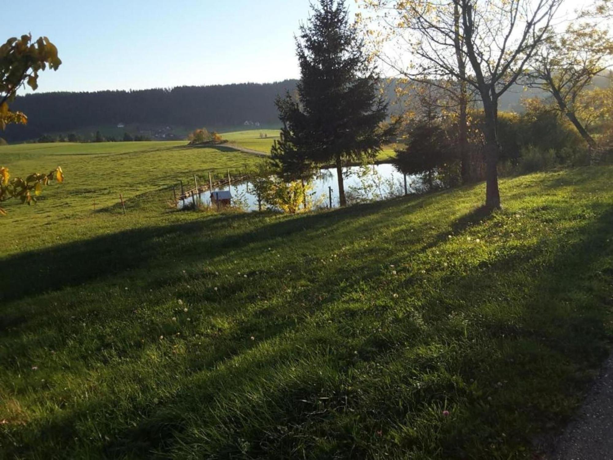 Lovely Apartment In The Black Forest Филлинген-Швеннинген Экстерьер фото