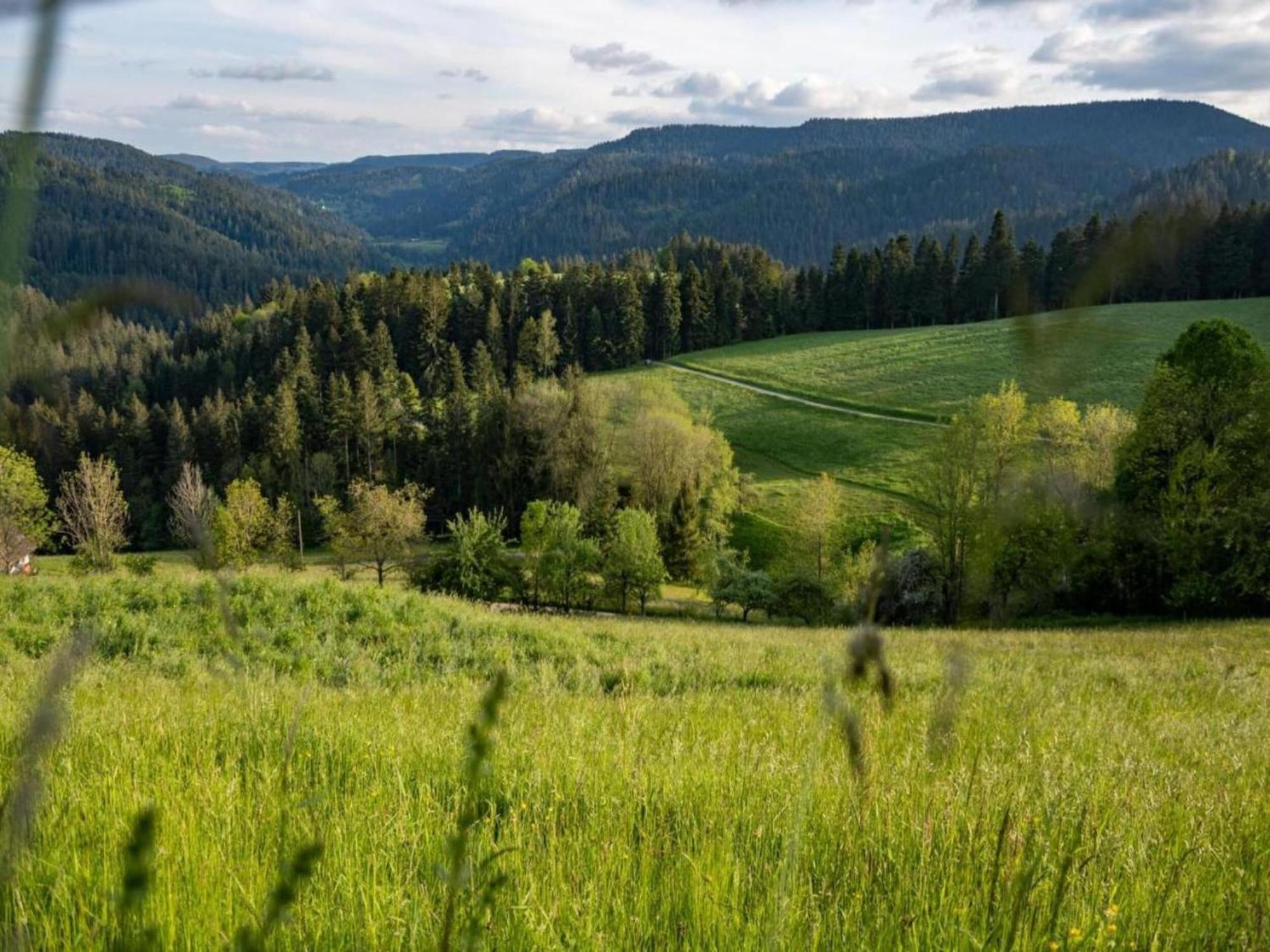 Lovely Apartment In The Black Forest Филлинген-Швеннинген Экстерьер фото